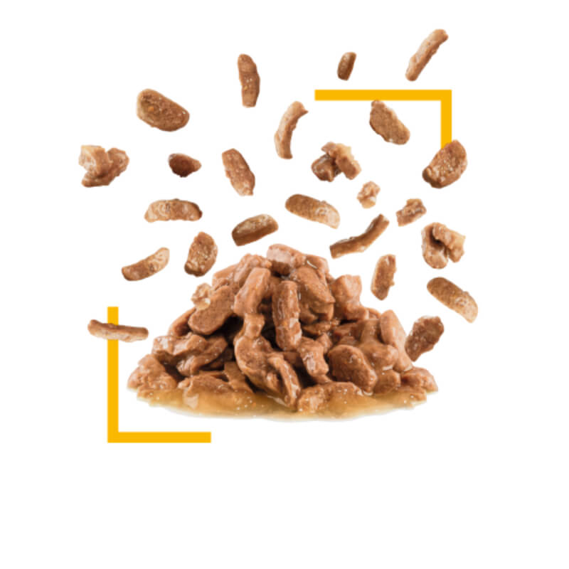 Royal Canin Sensory Taste - omaka (3)