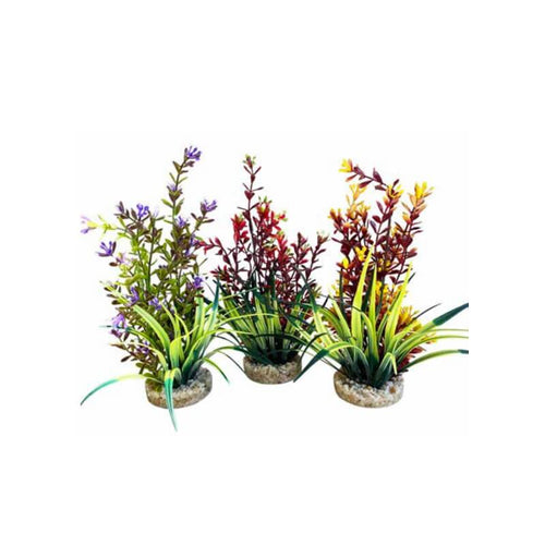 Sydeco dekor Flowering Plant