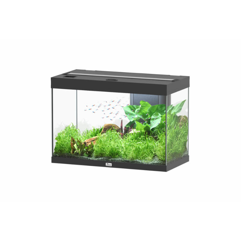 Aquatlantis akvarij Splendid 80 LED 2.0, črn - 180 L / 80,2 x 40 x 56,1 cm