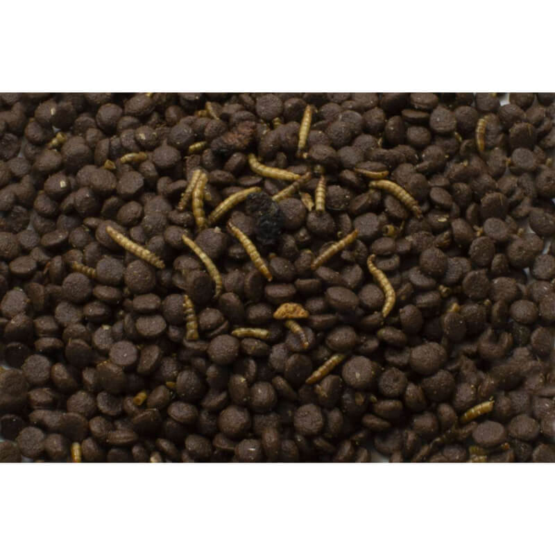 JR Farm Grainless hrana za ježe - 750 g (2)
