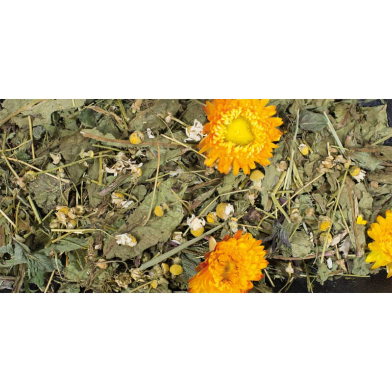 JR Farm Grainless Plus kamilica in regrat - 100 g (2)