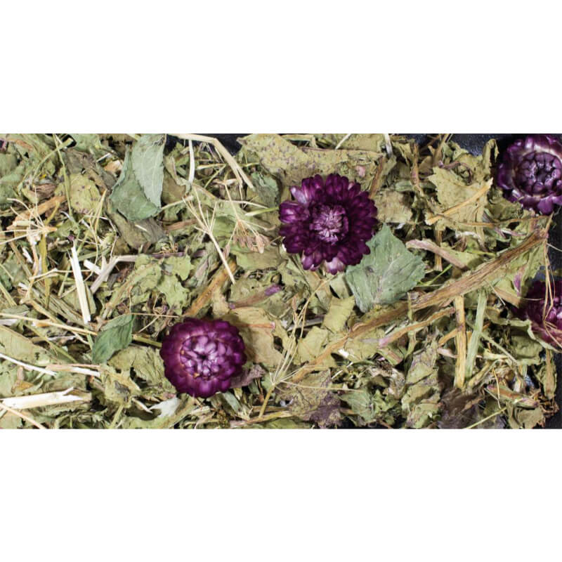JR Farm Grainless Plus kumina in regrat - 100 g (2)