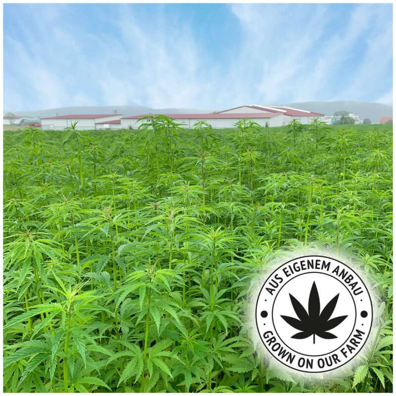 JR Farm palčke iz konoplje - 20g (3)