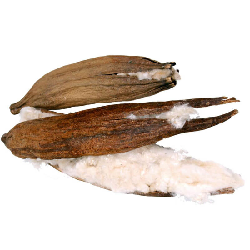 JR Farm strok kapoka - bombaž (2)