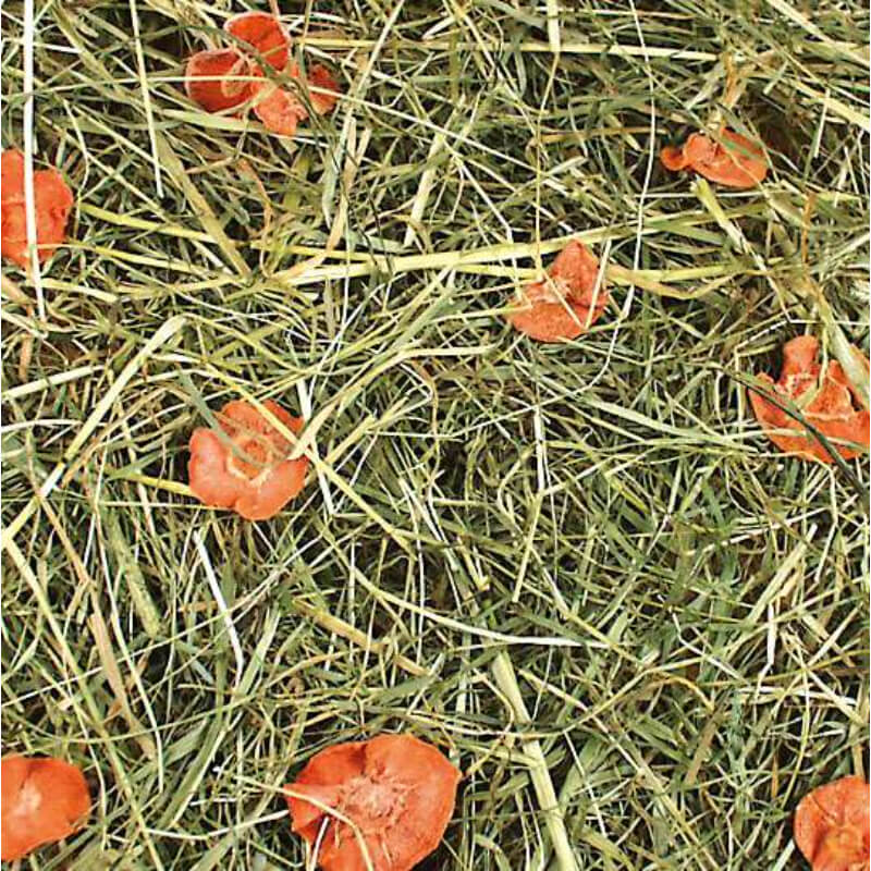 JR Farm seno s korenjem - 1,5 kg (2)