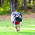 KONG frizbi Extreme Flyer large - fi 20 cm (3)