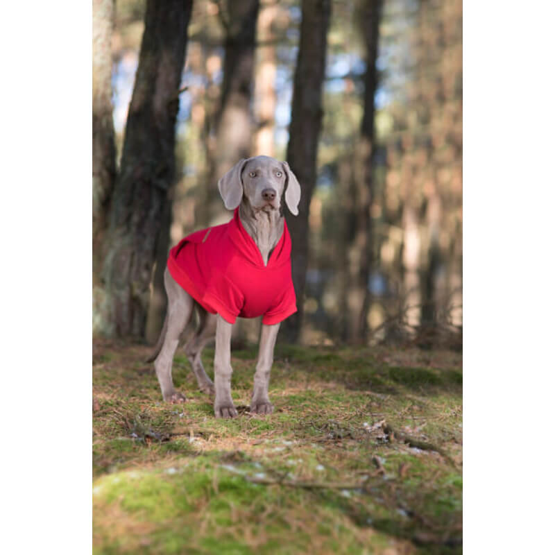 Amiplay pulover Hoodie Texas, rdeča (2)