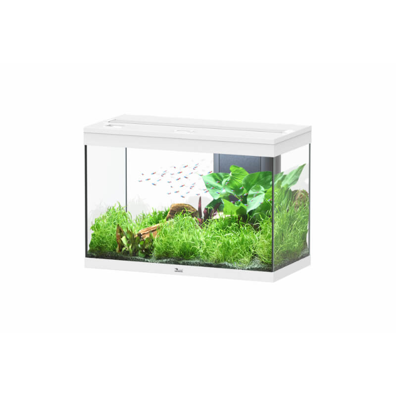 Aquatlantis akvarij Splendid 80 LED 2.0, bel - 180 L / 80,2 x 40 x 56,1 cm