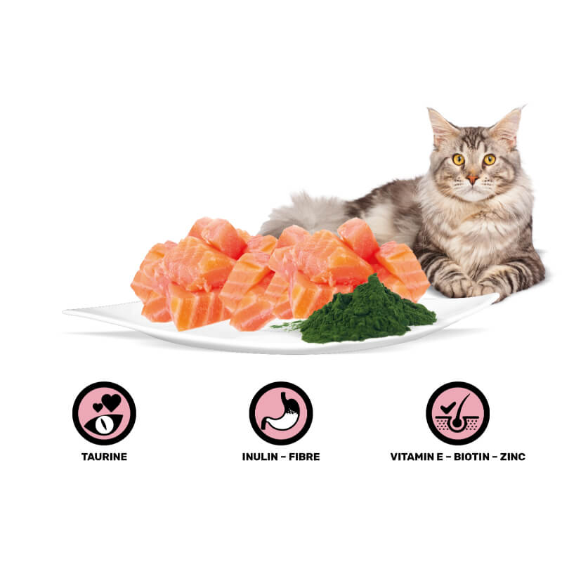 Rasco Premium Cat Sterilized Adult mesni koščki v omaki - losos in spirulina - 85 g (2)