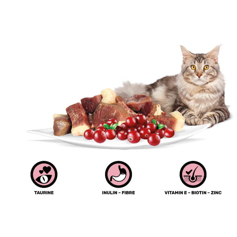 Rasco Premium Cat Sterilized Adult mesni koščki v omaki - raca in brusnice - 85 g (2)