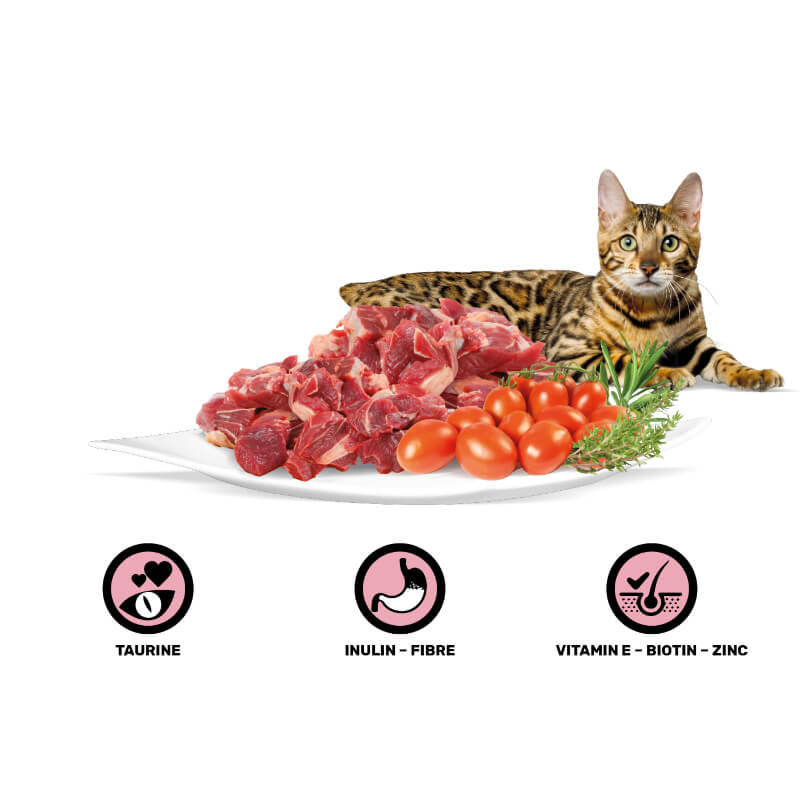 Rasco Premium Cat Adult mesni koščki v omaki - govedina in zelišča - 85 g (2)