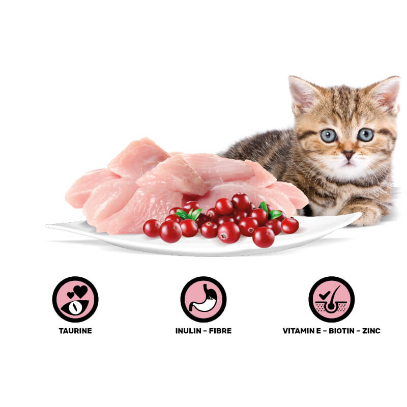 Rasco Premium Kitten mesni koščki v omaki - puran in brusnice - 85 g (2)