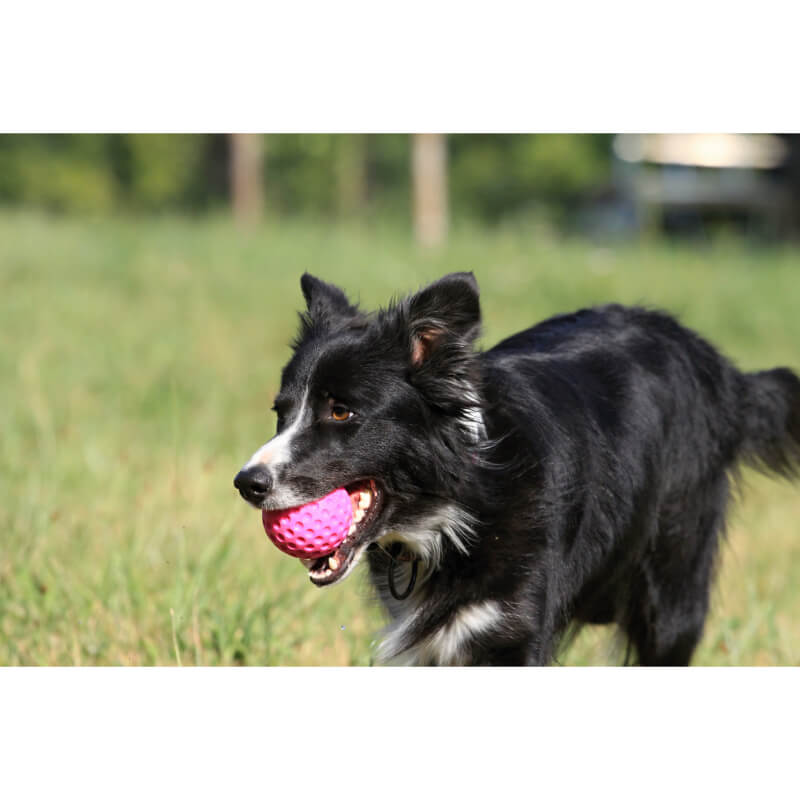Kiwi Walker pena TPR žoga maxi, roza - 7 cm (3)