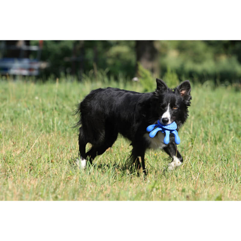 Kiwi Walker pena TPR hobotnica maxi, modra - 20 cm (3)