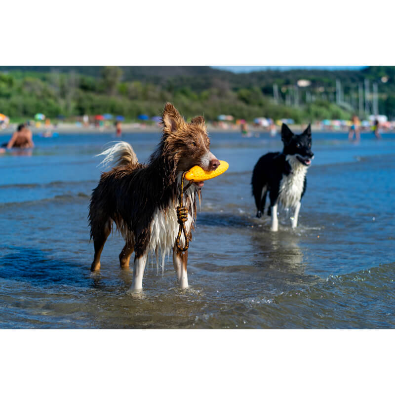 Kiwi Walker pena TPR zeppelin maxi, moder - 22 cm (3)