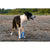 Kiwi Walker pena TPR obroč mini, moder - 13 cm (3)