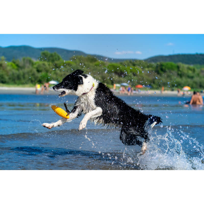 Kiwi Walker pena TPR zeppelin mini, moder - 17 cm (3)