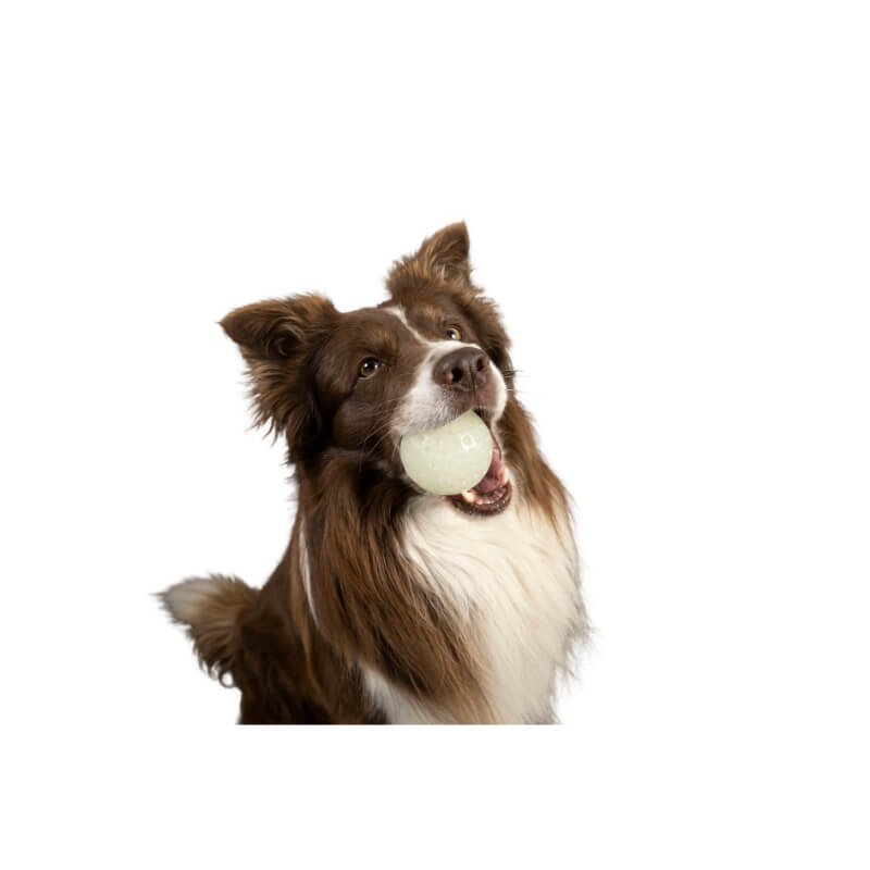 Kiwi Walker guma TPR svetleča žoga maxi - 7 cm (3)