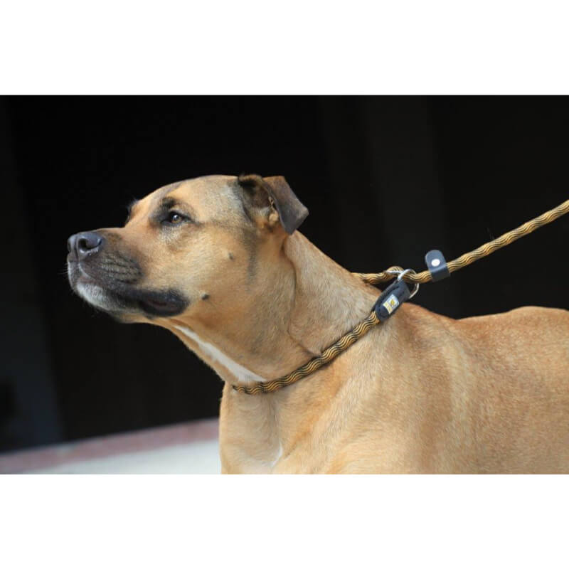 Kiwi Walker okrogel najlonski povodec z ovratnico, črno zelen - 180 cm (3)