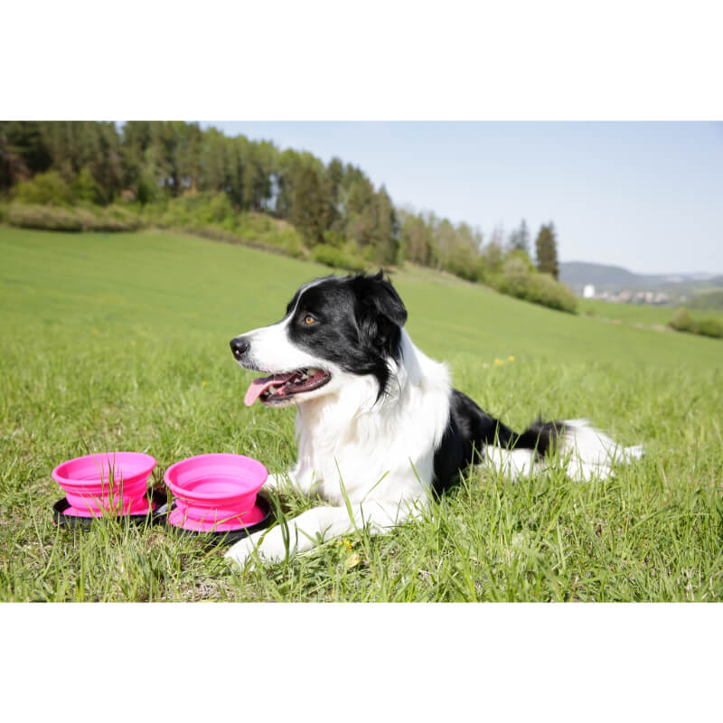 Kiwi Walker silikonska dvojna zložljiva posoda, roza - 2 x 350 ml (3)