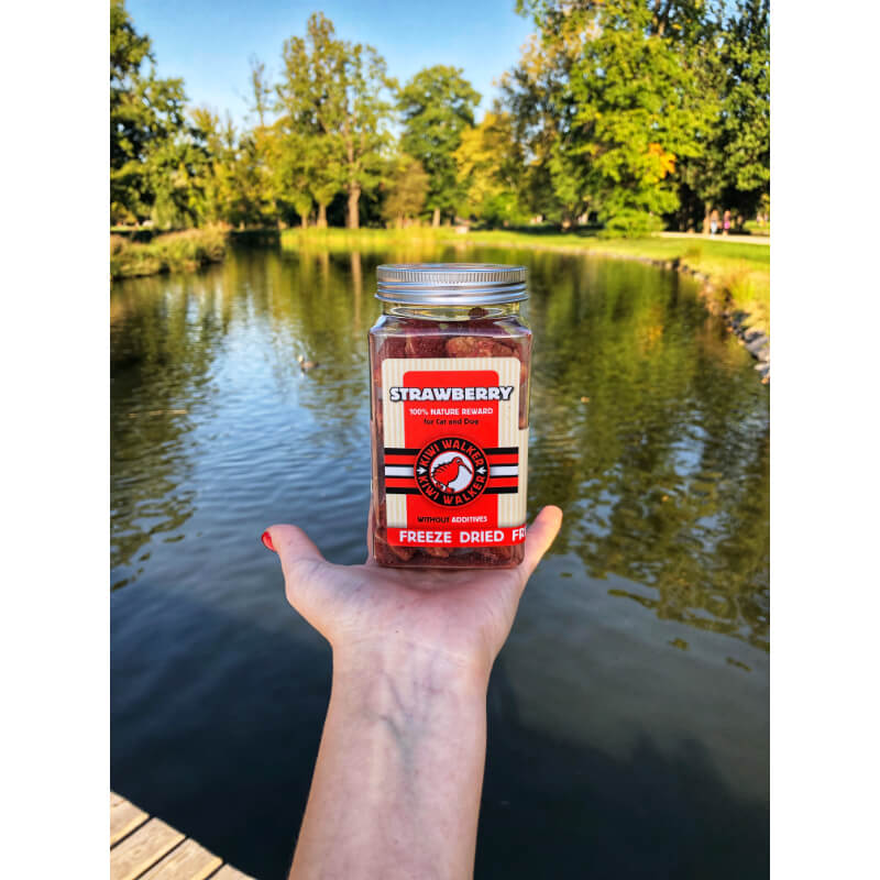 Kiwi Walker liofilizirani naravni priboljški, jagoda - 25 g (3)