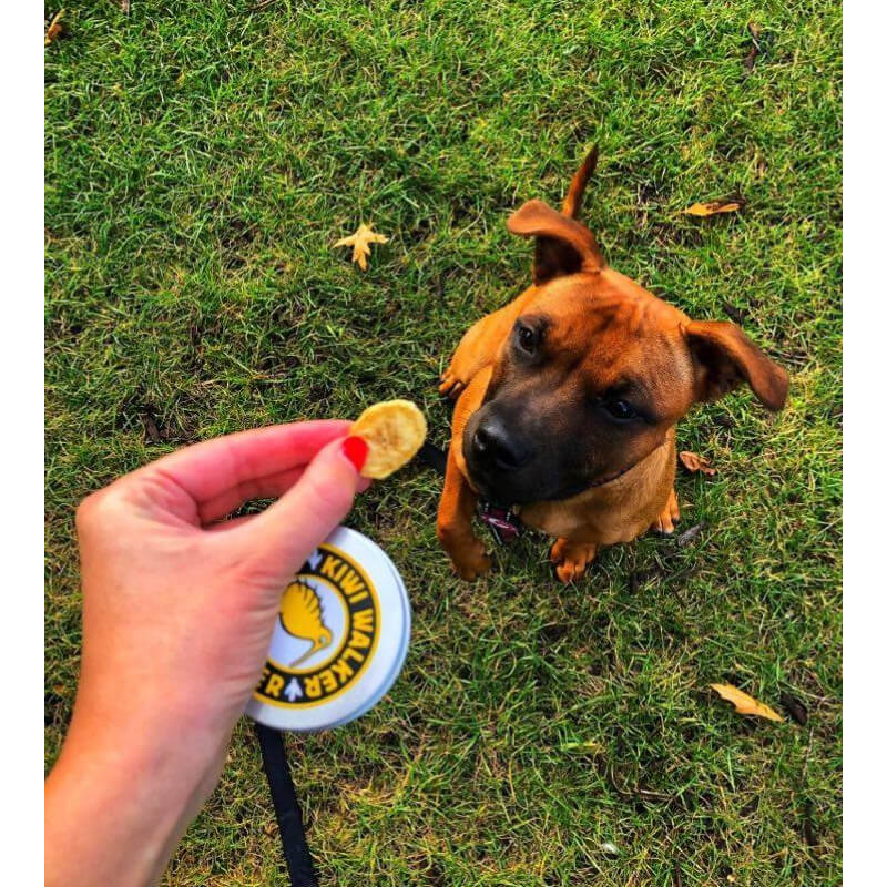 Kiwi Walker liofilizirani naravni priboljški, banana - 70 g (3)