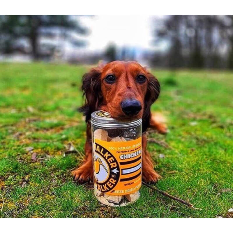 Kiwi Walker liofilizirani naravni priboljški, piščanec - 120 g (3)