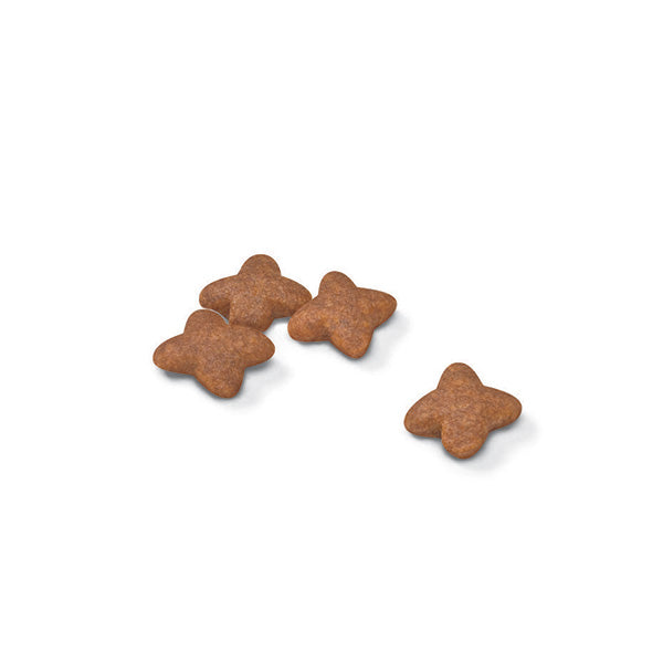 Royal Canin Mini Adult - 8 kg (2)