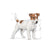 Royal Canin Mini Adult - 8 kg (3)