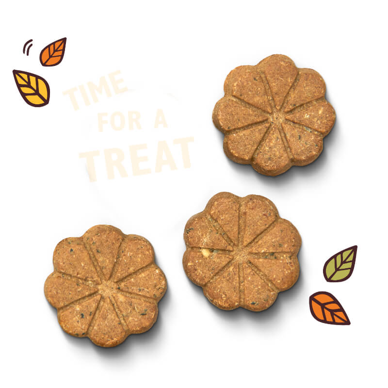 Lily's Kitchen Breaktime Biscuits priboljški - 80 g (2)