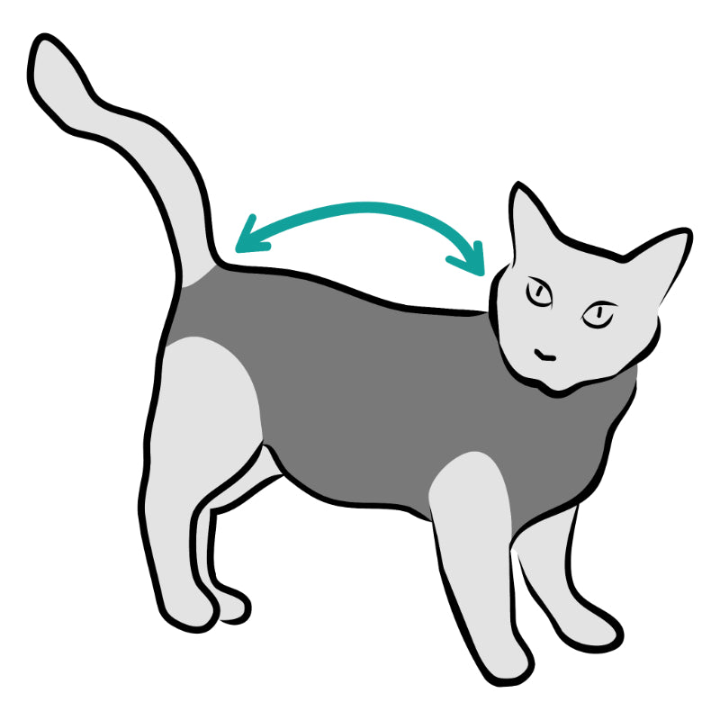 Suitical Recovery suit za mačke XXS, vojaško črn - 33-42 cm (6)