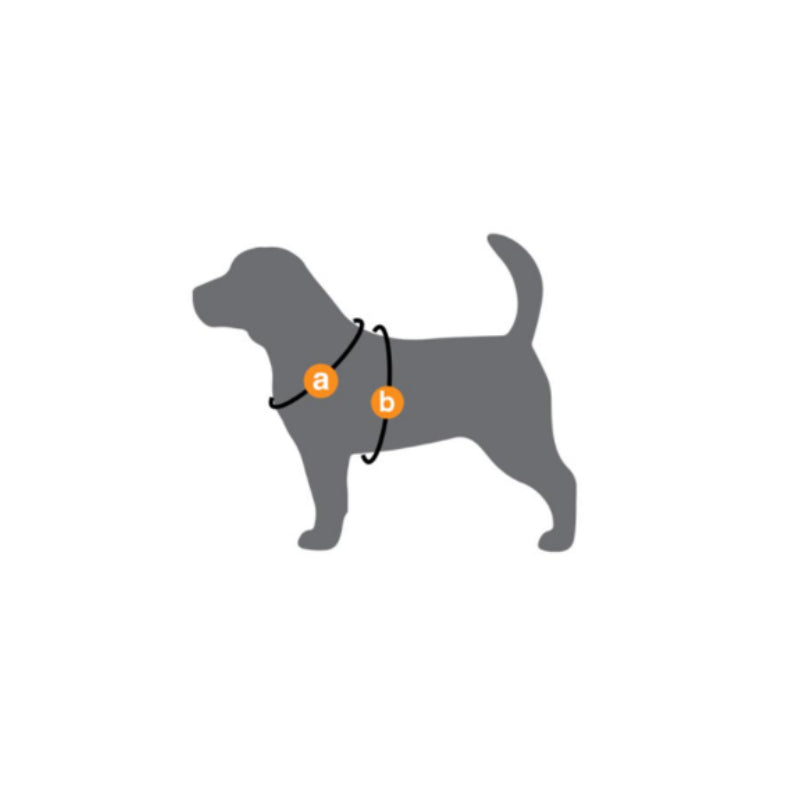 United Pets oprsnica Complete Me XL, zelena - 48 cm / 44-60 cm (2)