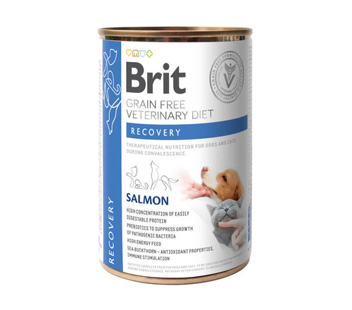 Brit GF Veterinarska dieta za pse in mačke Recovery, 400g - 400 g