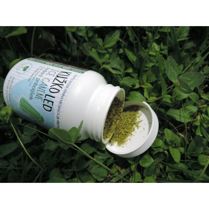 Kužkoled mešanica za pripravo ledenega priboljška - 100g (2)