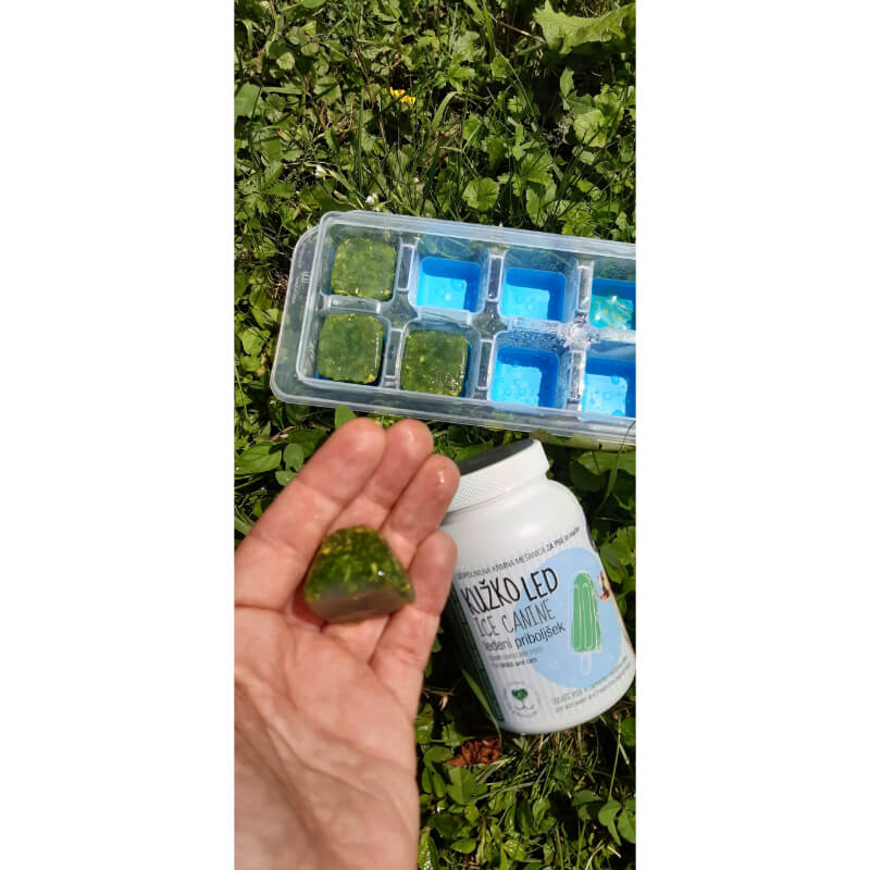 Kužkoled mešanica za pripravo ledenega priboljška - 100g (3)