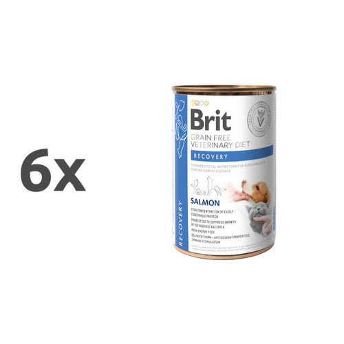 Brit GF Veterinarska dieta za pse in mačke Recovery, 400g - 6 x 400 g