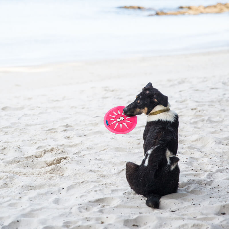 Coockoo neoprenski frizbi Twisty, zelen - 24,4 cm (4)