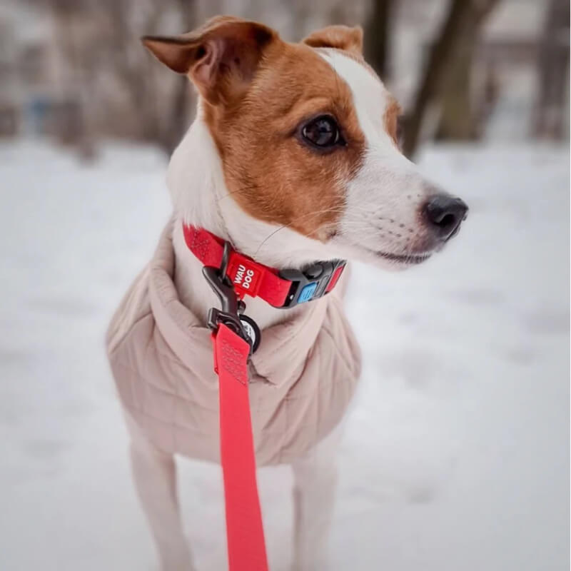 Waudog vodoodporna ovratnica, rdeča (2)