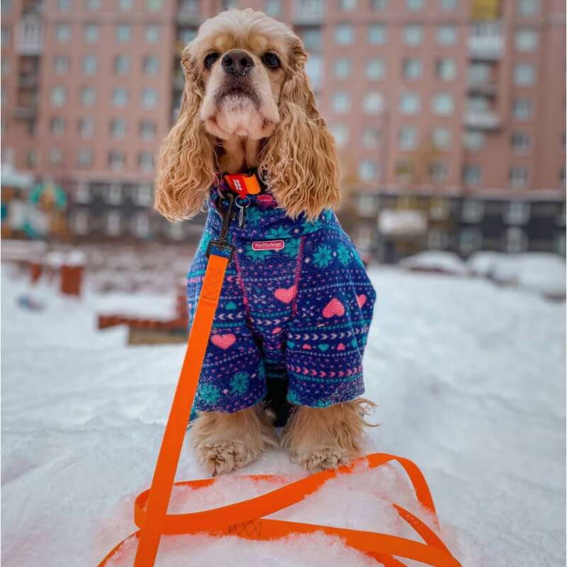 Waudog vodoodporen povodec, oranžen - 122 cm (2)