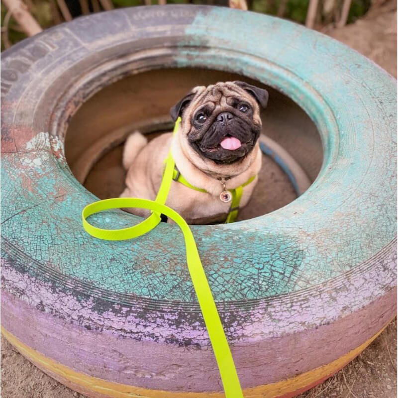 Waudog vodoodporen povodec, sv. zelen - 122 cm (2)