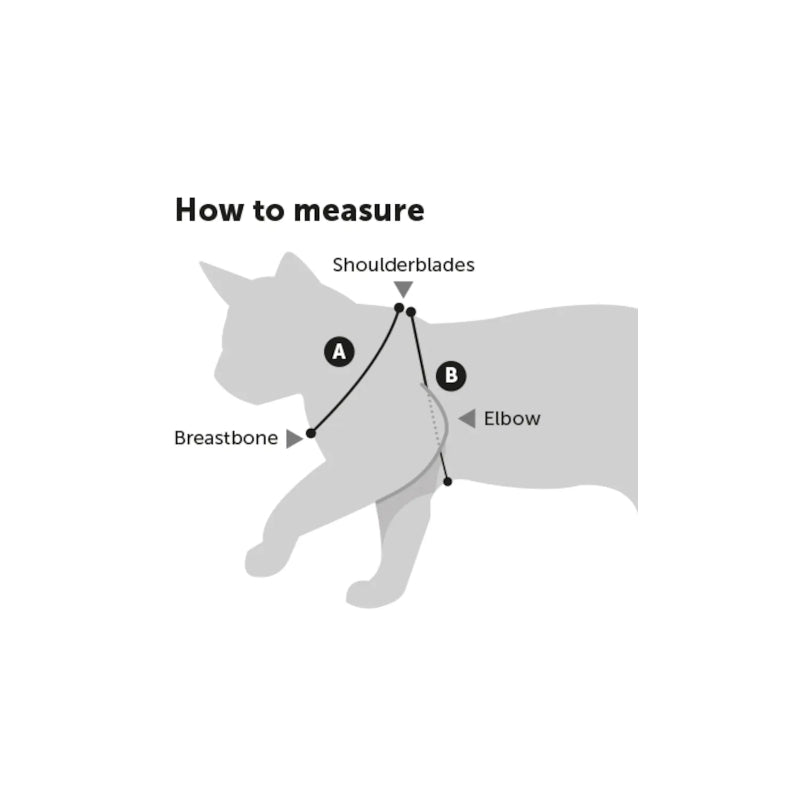 Flamingo oprsnica s povodcem za mladičke, črna - 15-20 cm / 20-30 cm (4)