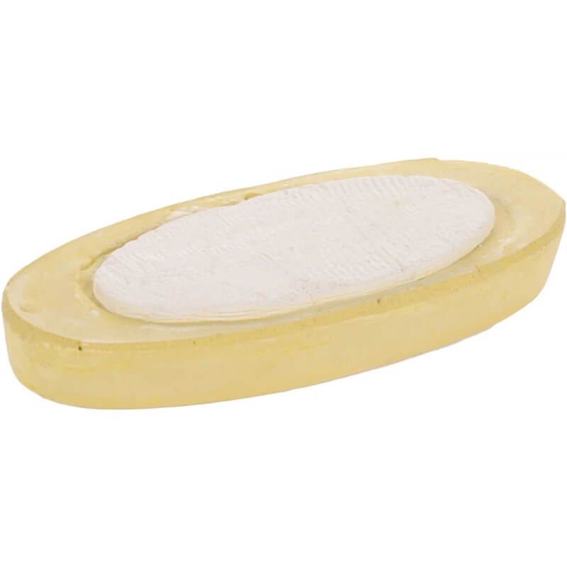 Flamingo mineralni kamen in sipina kost, banana - 12 cm (2)