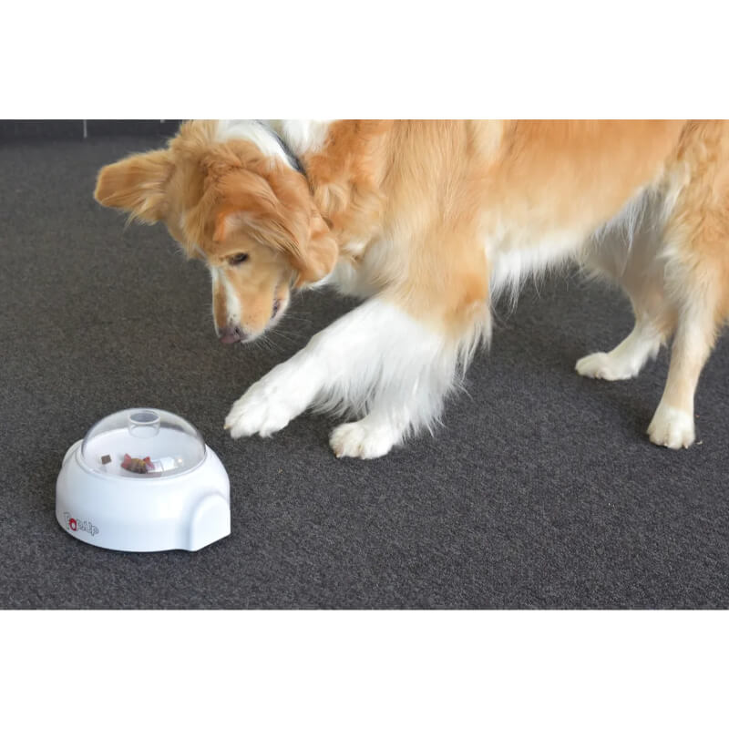 Flamingo interaktivna igrača Pop-up - 20 x 18 x 11 cm (5)