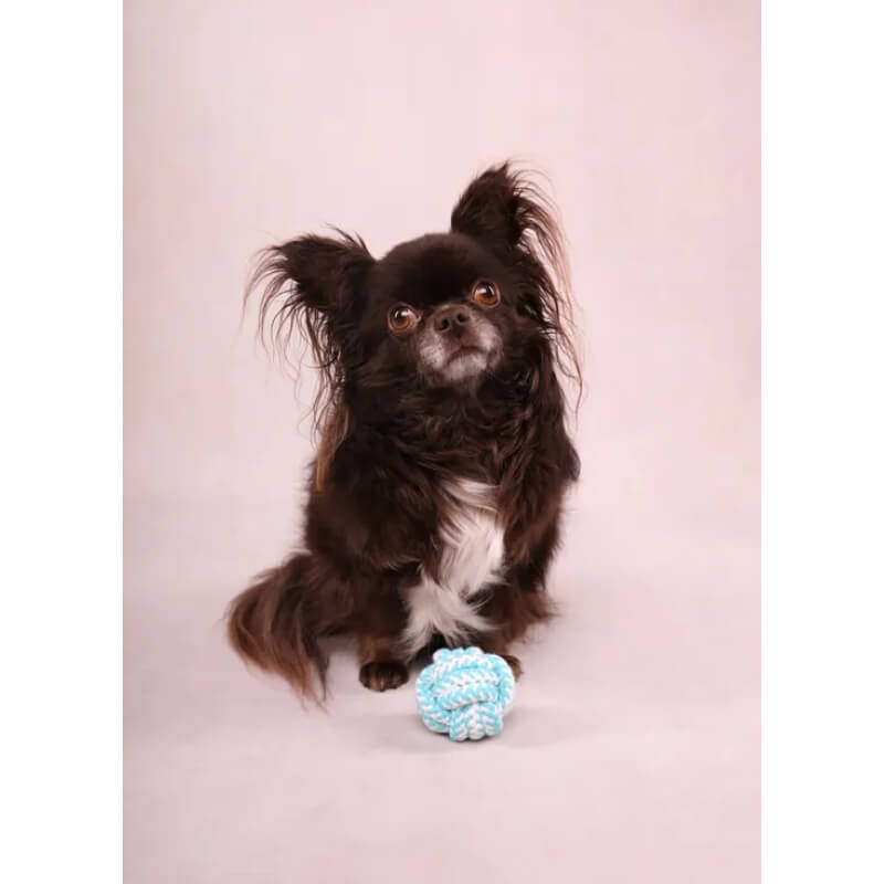 Flamingo žoga iz vrvi Ivar, turkizna - 6 cm (4)