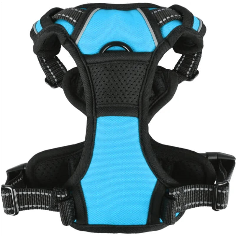 Flamingo oprsnica Balou M, modra - 32-56 cm / 50-56 cm (2)