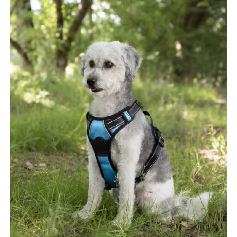 Flamingo oprsnica Balou M, modra - 32-56 cm / 50-56 cm (4)