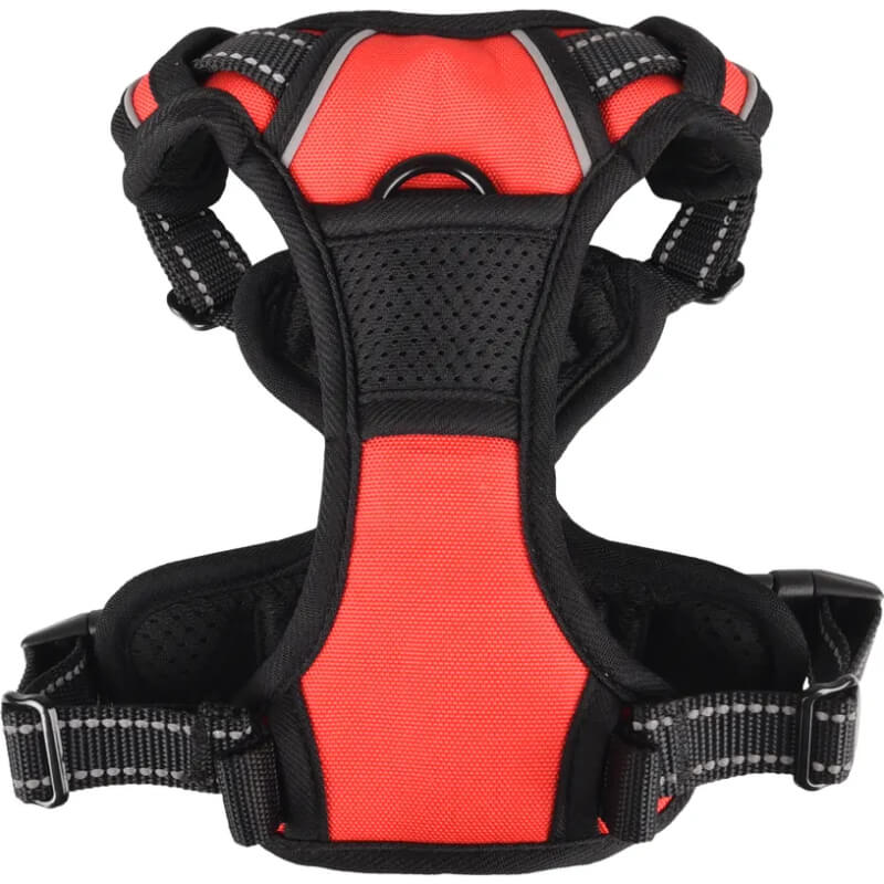 Flamingo oprsnica Balou S, rdeča - 31-55 cm / 40-55 cm (2)