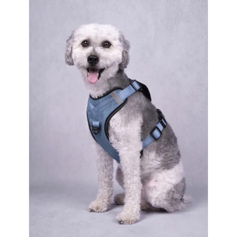 Flamingo oprsnica Heron XL, modra - 45-65 cm / 58-76 cm (5)