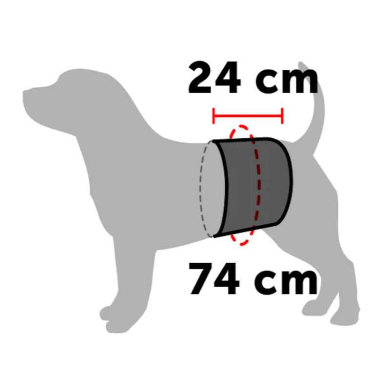 Flamingo King pas za samce, črn - 74 x 24 cm (2)