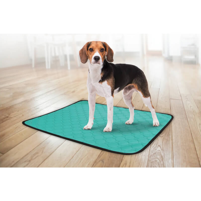 Flamingo pralna vpojna podloga, turkizna - 101 x 64,5 cm (3)